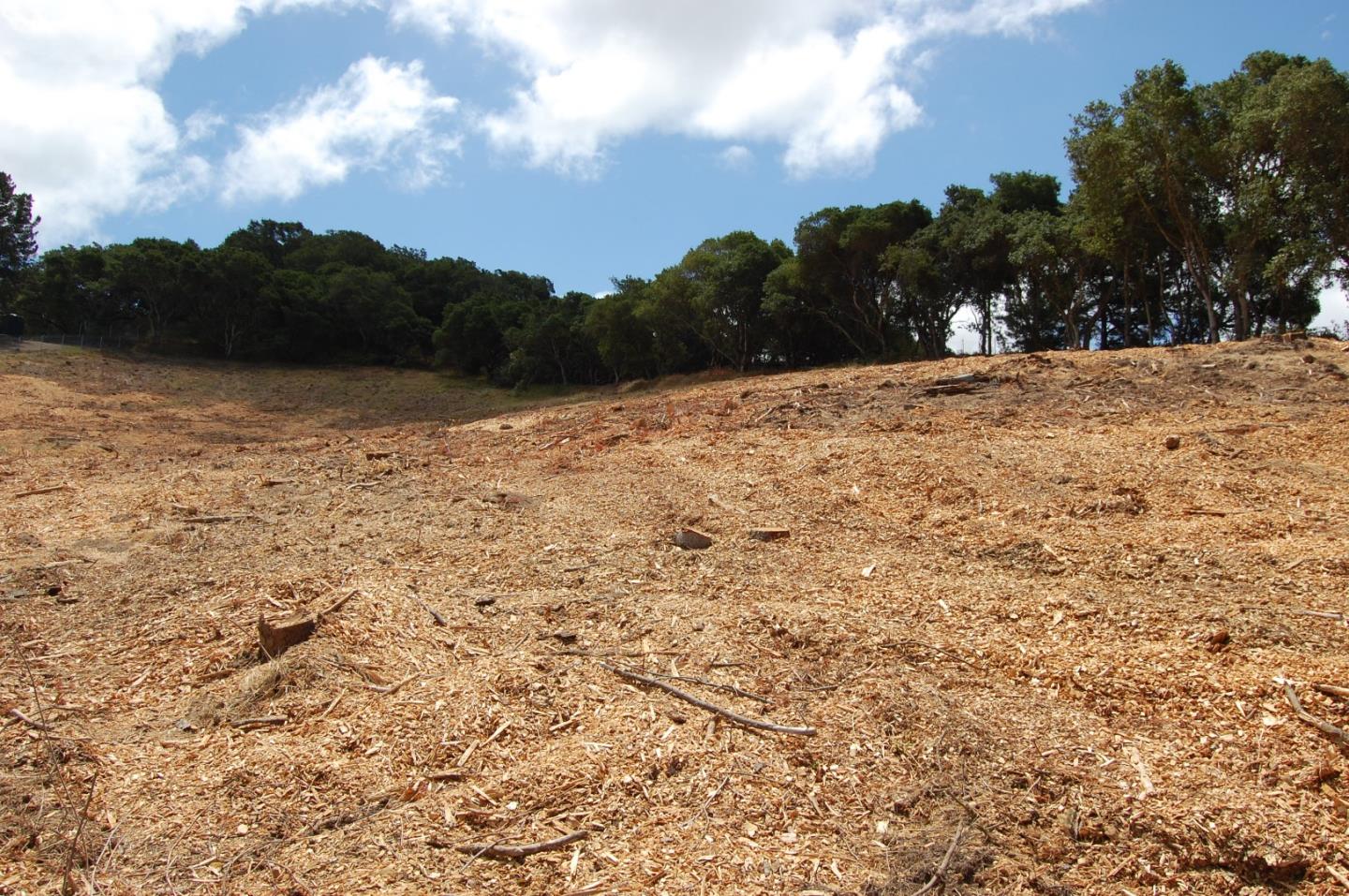 166 C Aromas Road, AROMAS, California 95004, ,Lots And Land,For Sale,Aromas Road,40964881