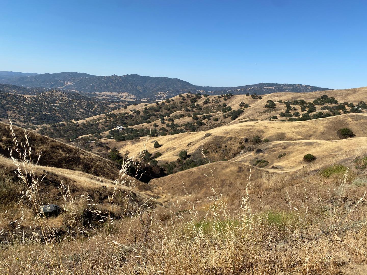 Photo of 26 Panoche Rd in Paicines, CA
