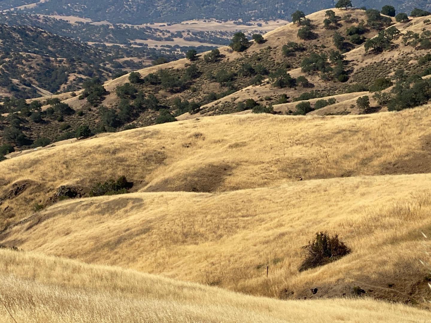 Lot 26 Panoche Road, PAICINES, California 95043, ,Lots And Land,For Sale,Panoche Road,40964902
