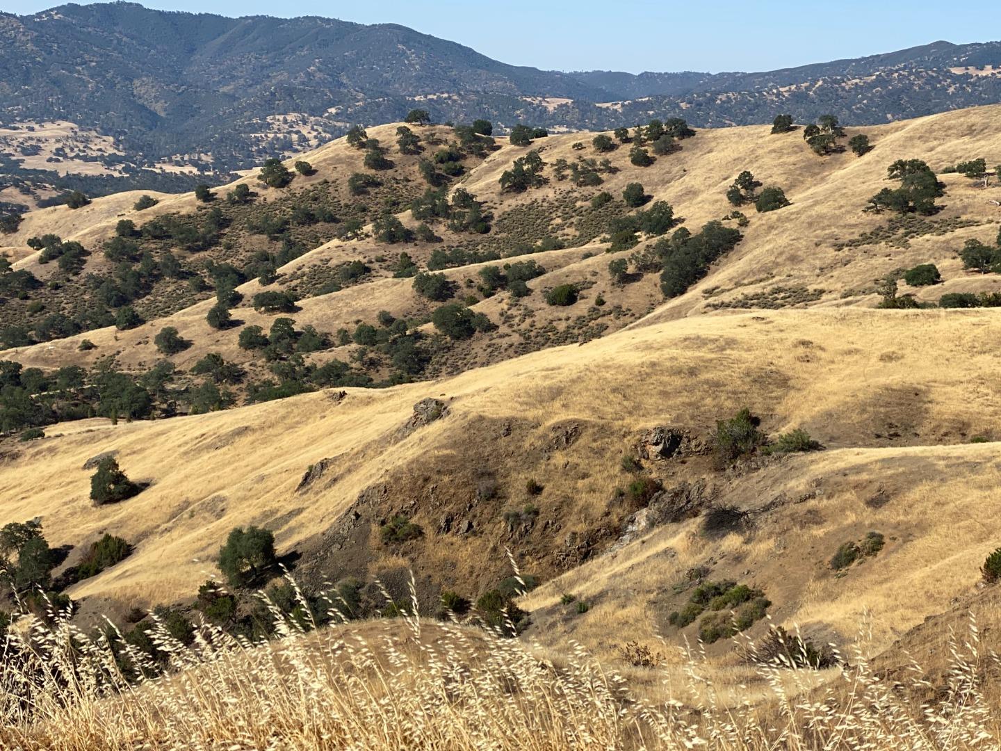 Lot 26 Panoche Road, PAICINES, California 95043, ,Lots And Land,For Sale,Panoche Road,40964902