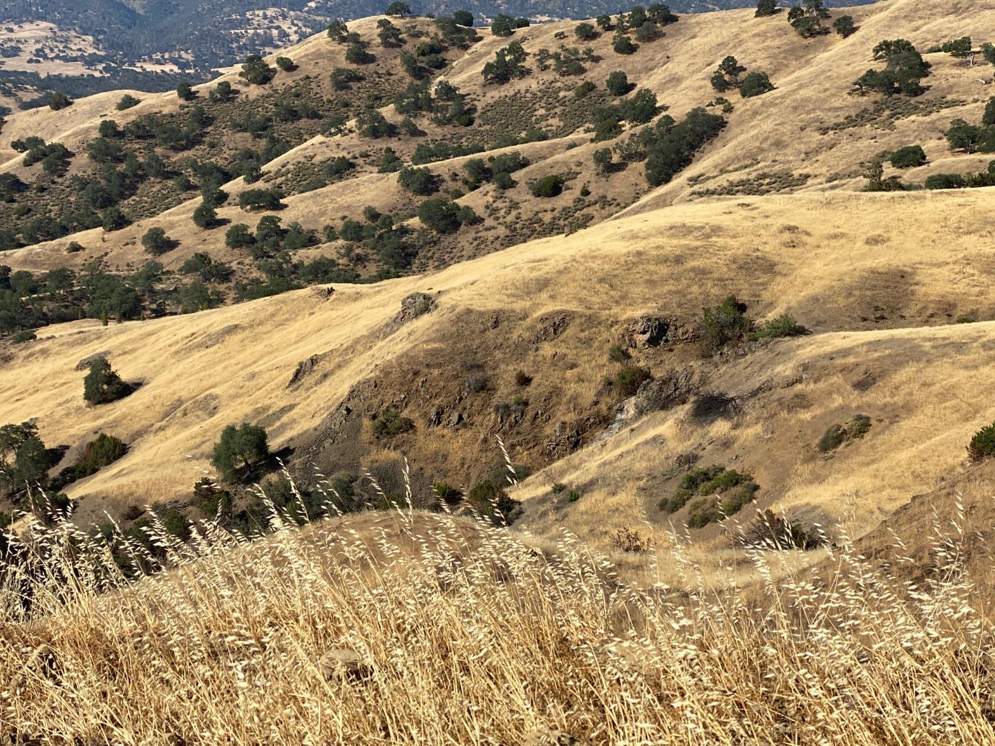 Lot 26 Panoche Road, PAICINES, California 95043, ,Lots And Land,For Sale,Panoche Road,40964902