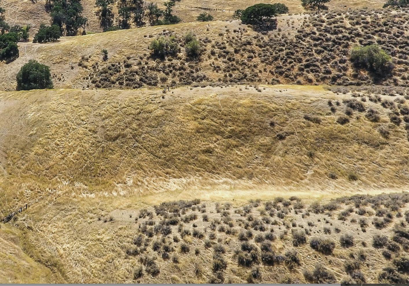 Lot 58 Panoche Road, PAICINES, California 95043, ,Lots And Land,For Sale,Panoche Road,40964903