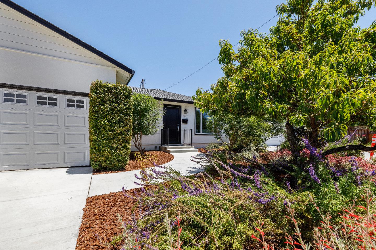 Detail Gallery Image 1 of 1 For 1175 Phillips Ct, Santa Clara,  CA 95051 - 3 Beds | 1 Baths