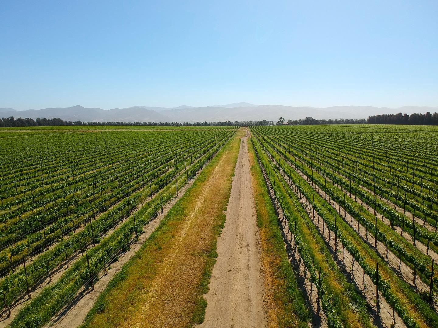 0 Bitterwater, KING CITY, California 93930, ,Comm Lots And Land,For Sale,Bitterwater,40964912