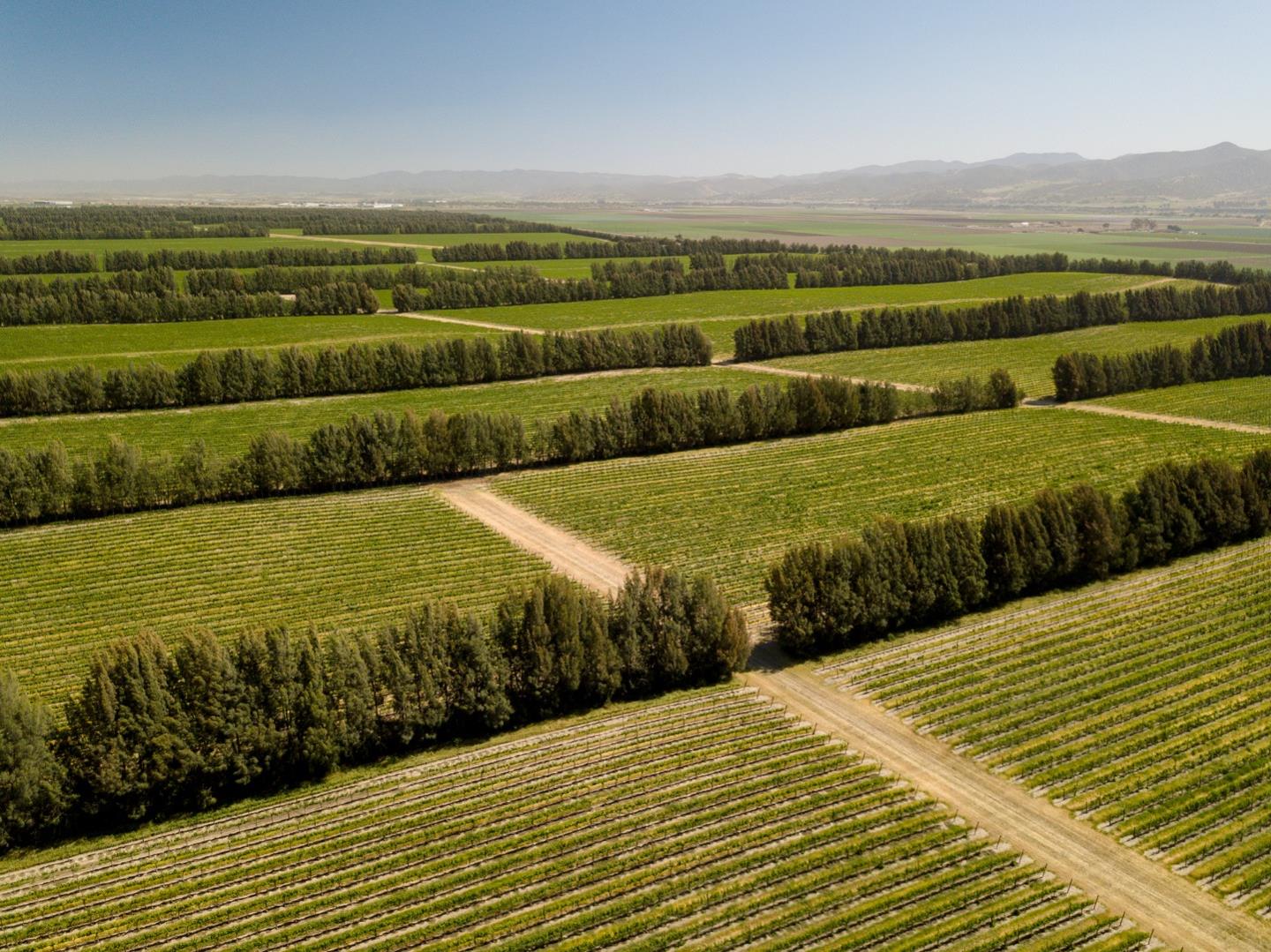 0 Bitterwater, KING CITY, California 93930, ,Comm Lots And Land,For Sale,Bitterwater,40964912