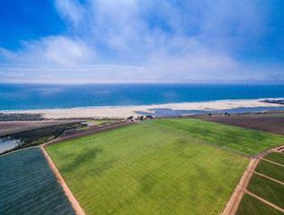 00 Bluff Road, MOSS LANDING, California 95039, ,Lots And Land,For Sale,Bluff Road,40964918