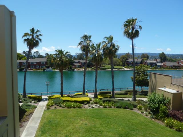 Detail Gallery Image 1 of 1 For 912 Beach Park Blvd #96,  Foster City,  CA 94404 - 1 Beds | 1 Baths
