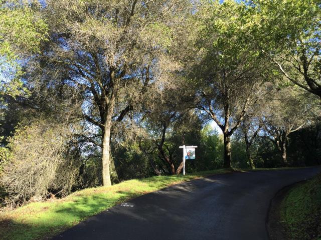 0 Canon Drive, LOS GATOS, California 95030, ,Lots And Land,For Sale,Canon Drive,40964927
