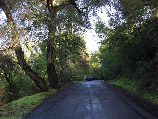 0 Canon Drive, LOS GATOS, California 95030, ,Lots And Land,For Sale,Canon Drive,40964927