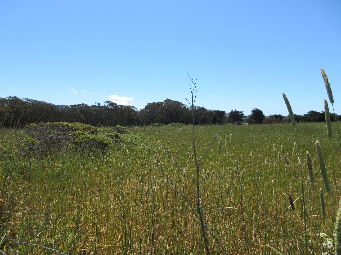 0 Redondo, HALF MOON BAY, California 94019, ,Lots And Land,For Sale,Redondo,40964942