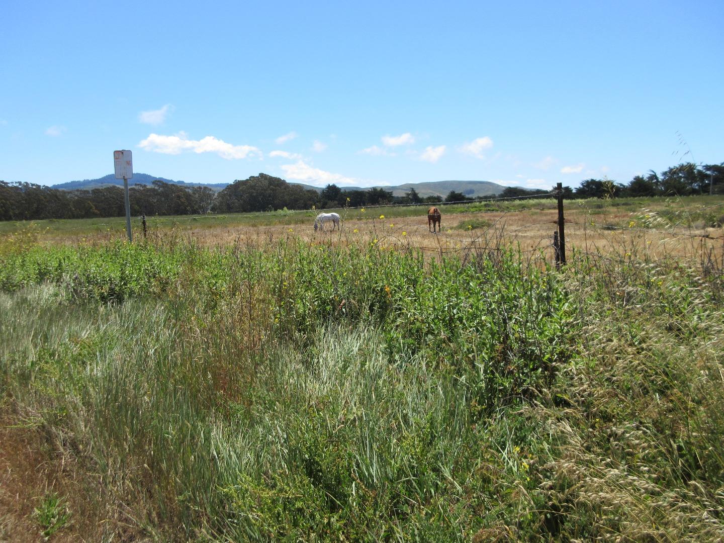 0 Redondo, HALF MOON BAY, California 94019, ,Lots And Land,For Sale,Redondo,40964941