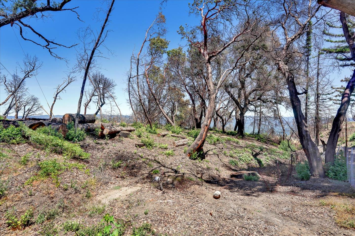 220 Braemoor Drive, SANTA CRUZ, California 95060, ,Lots And Land,For Sale,Braemoor Drive,40964945