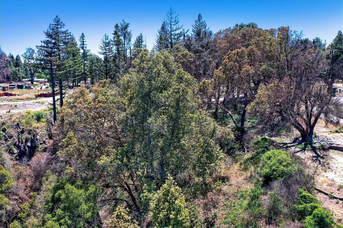 220 Braemoor Drive, SANTA CRUZ, California 95060, ,Lots And Land,For Sale,Braemoor Drive,40964945