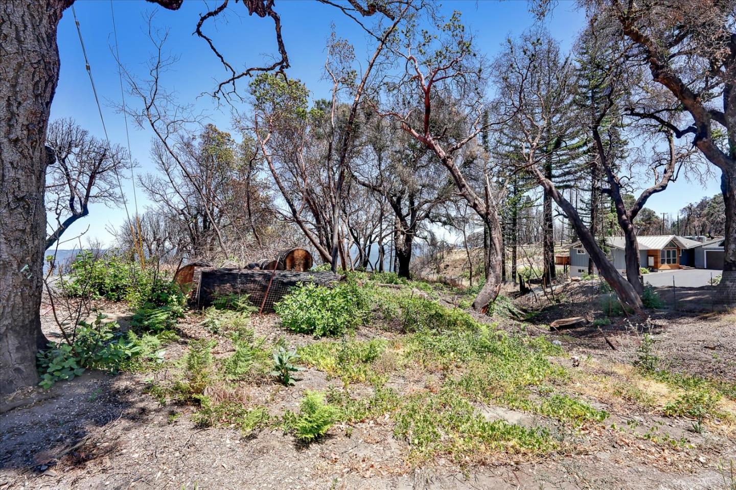 220 Braemoor Drive, SANTA CRUZ, California 95060, ,Lots And Land,For Sale,Braemoor Drive,40964945