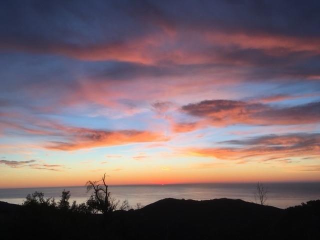 37823 Palo Colorado Road, CARMEL, California 93923, ,Lots And Land,For Sale,Palo Colorado Road,40964946