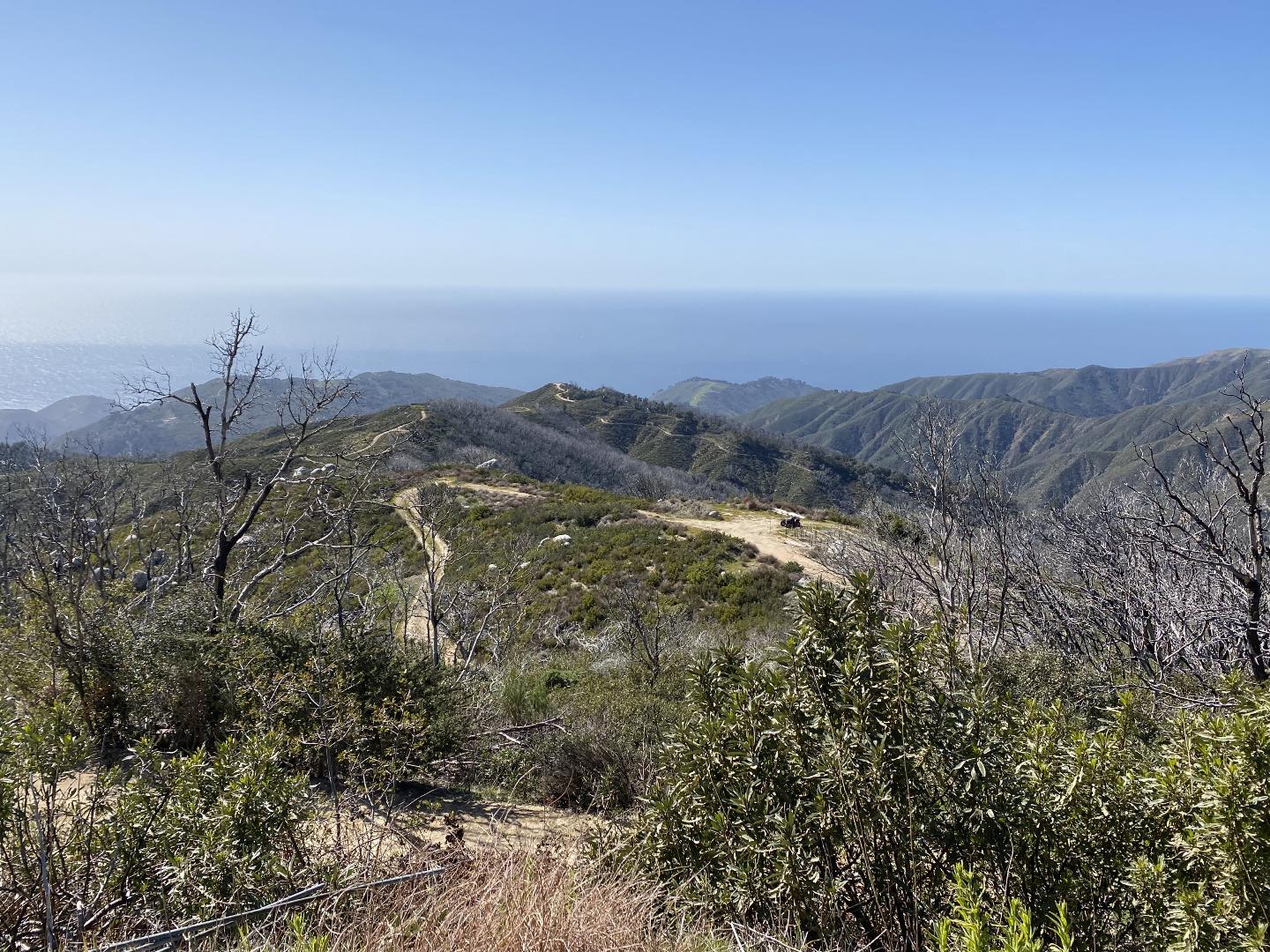 38771 Palo Colorado, CARMEL, California 93923, ,Lots And Land,For Sale,Palo Colorado,40964953