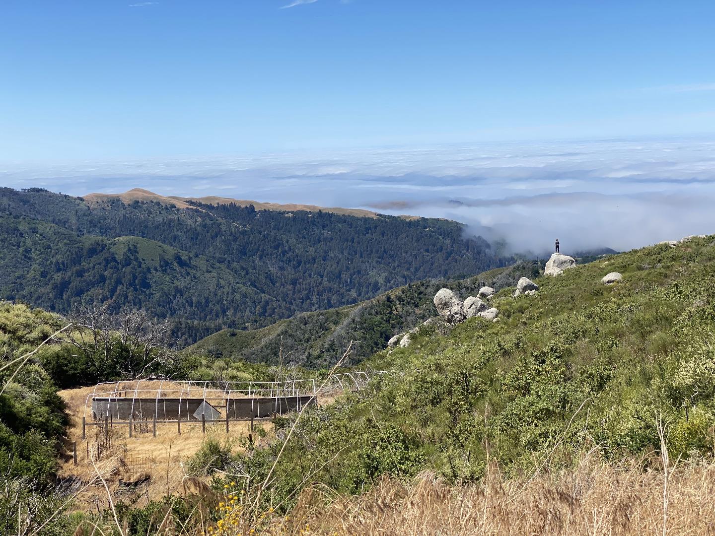 38771 Palo Colorado, CARMEL, California 93923, ,Lots And Land,For Sale,Palo Colorado,40964953