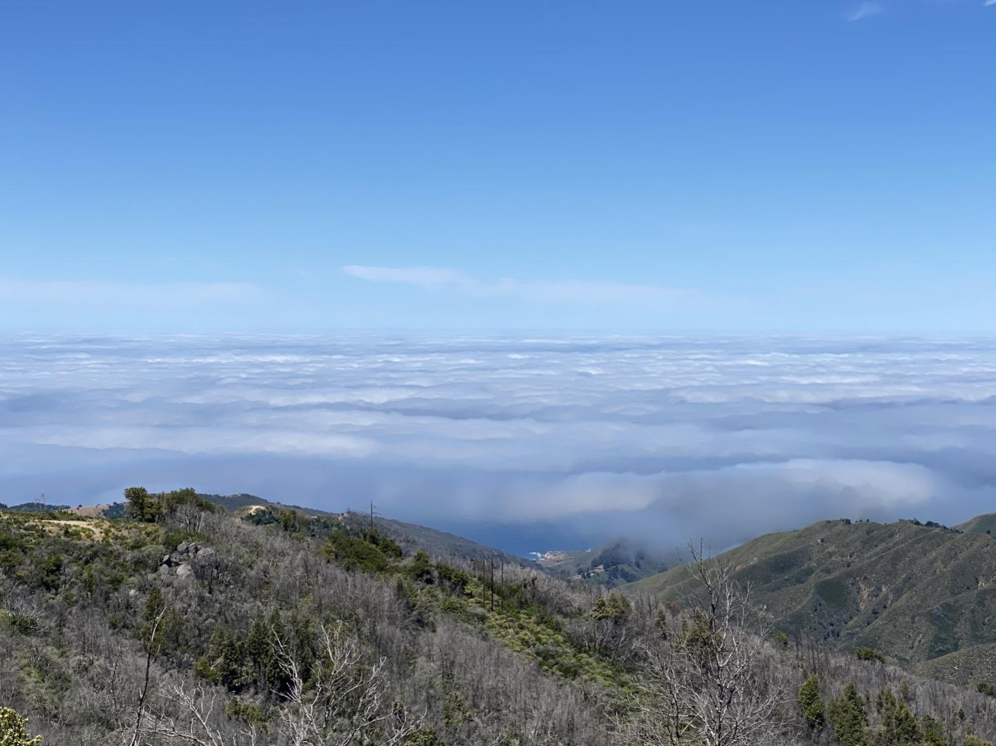 38771 Palo Colorado, CARMEL, California 93923, ,Lots And Land,For Sale,Palo Colorado,40964953
