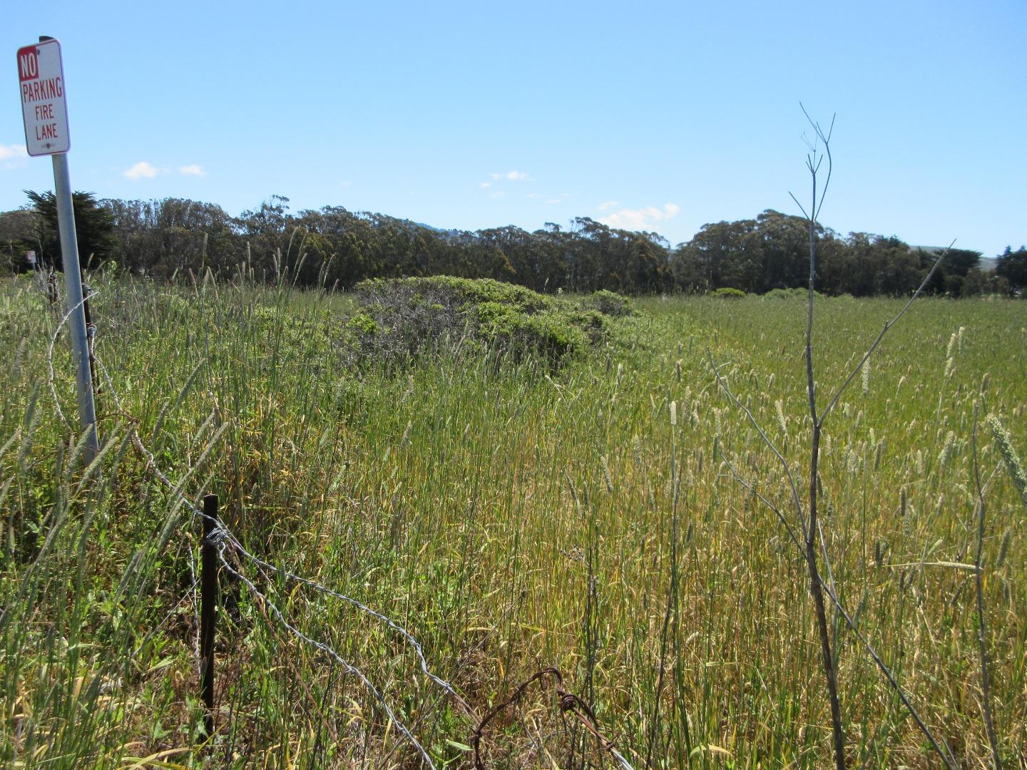 0 Redondo, HALF MOON BAY, California 94019, ,Lots And Land,For Sale,Redondo,40964954