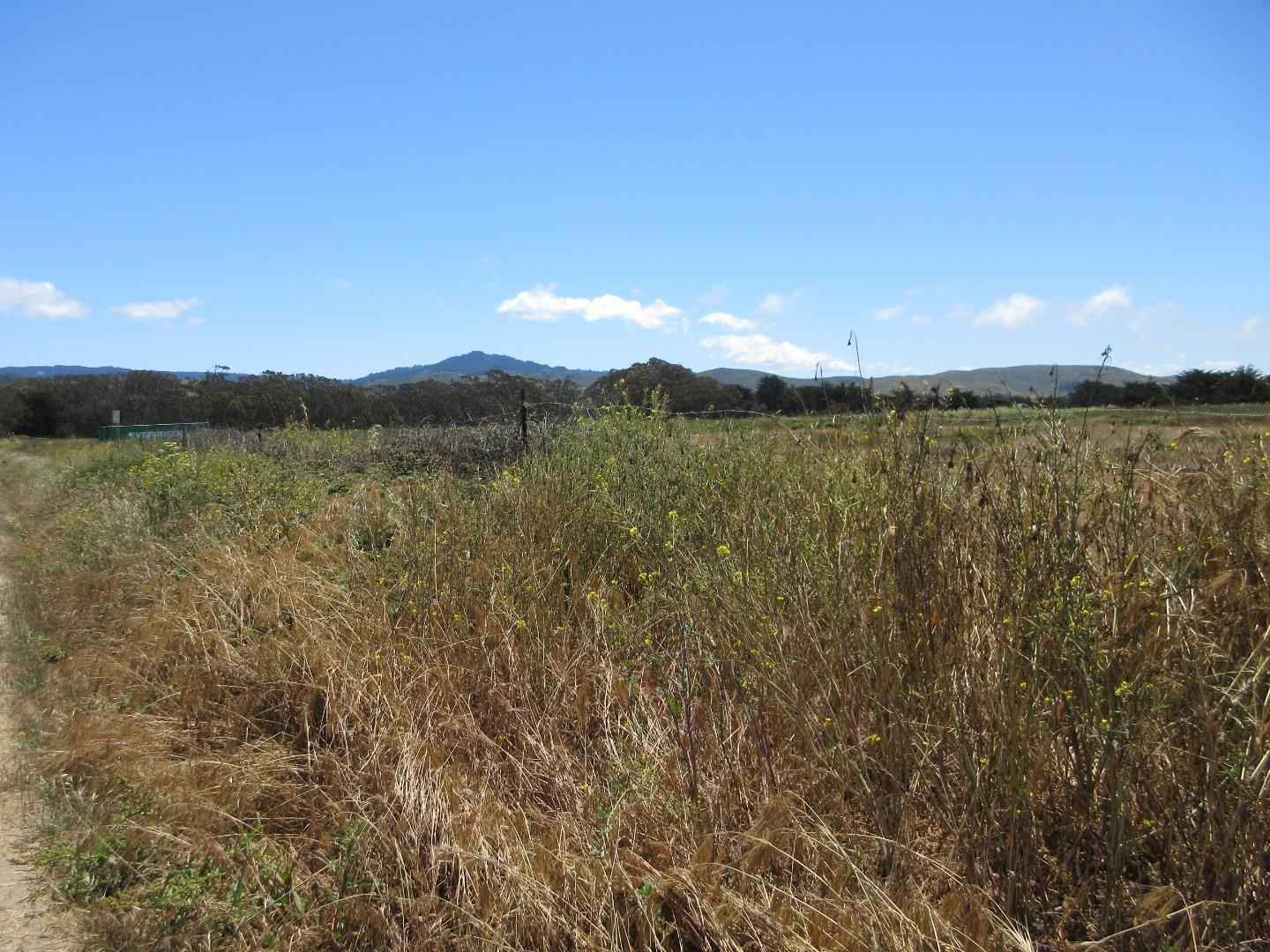 0 Redondo, HALF MOON BAY, California 94019, ,Lots And Land,For Sale,Redondo,40964955