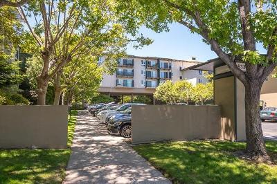 Detail Gallery Image 1 of 1 For 833 N Humboldt St #315,  San Mateo,  CA 94401 - 0 Beds | 1 Baths