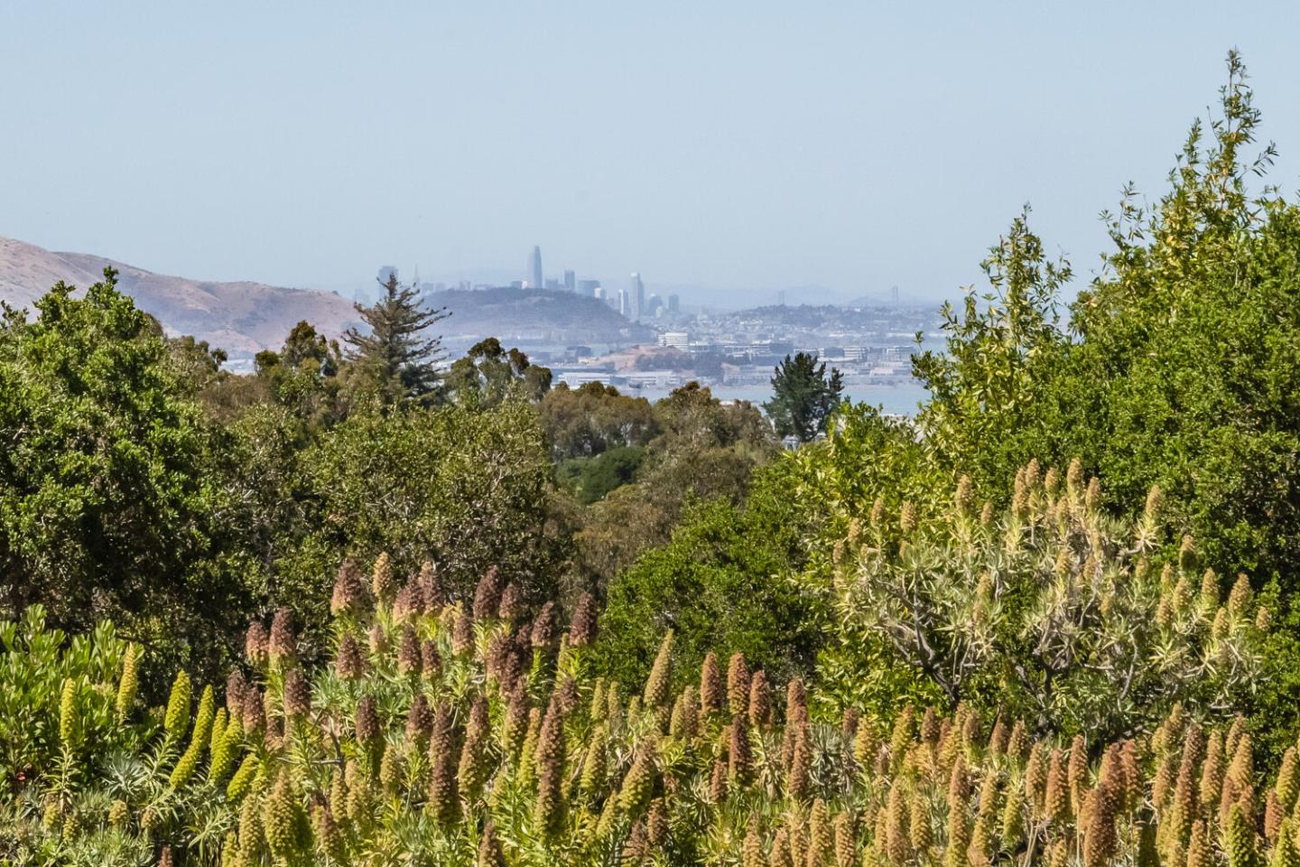 0 Eugenia, HILLSBOROUGH, California 94010, ,Lots And Land,For Sale,Eugenia,40976033