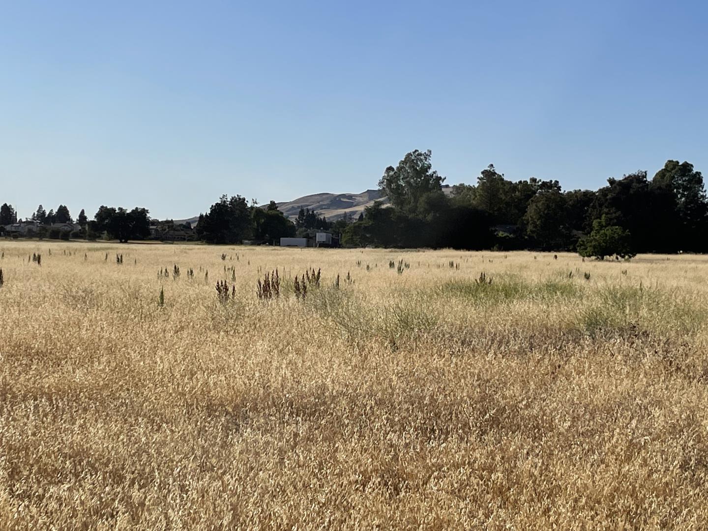 00 Barrett Avenue, MORGAN HILL, California 95037, ,Lots And Land,For Sale,Barrett Avenue,40964986