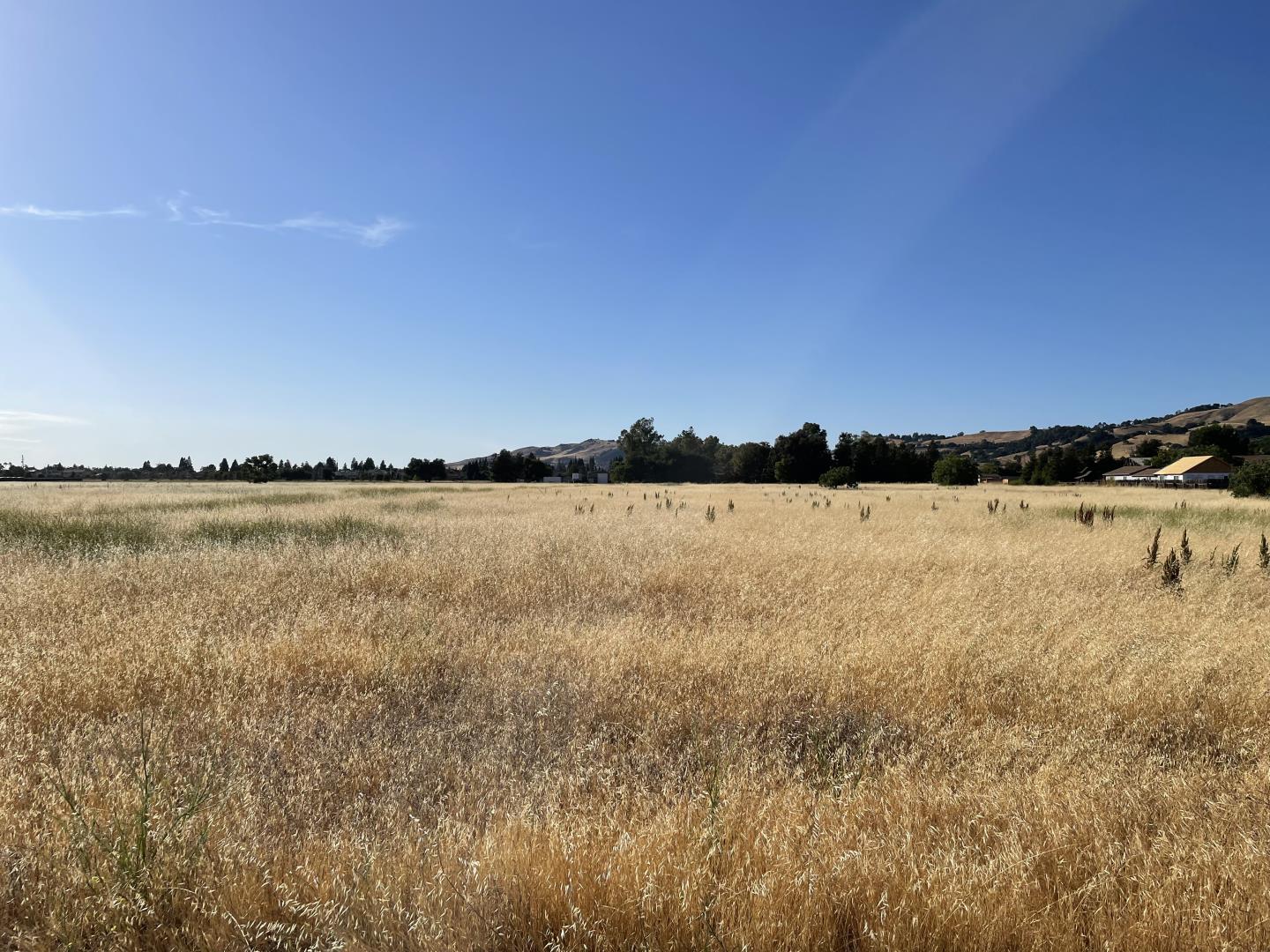 00 Barrett Avenue, MORGAN HILL, California 95037, ,Lots And Land,For Sale,Barrett Avenue,40964986