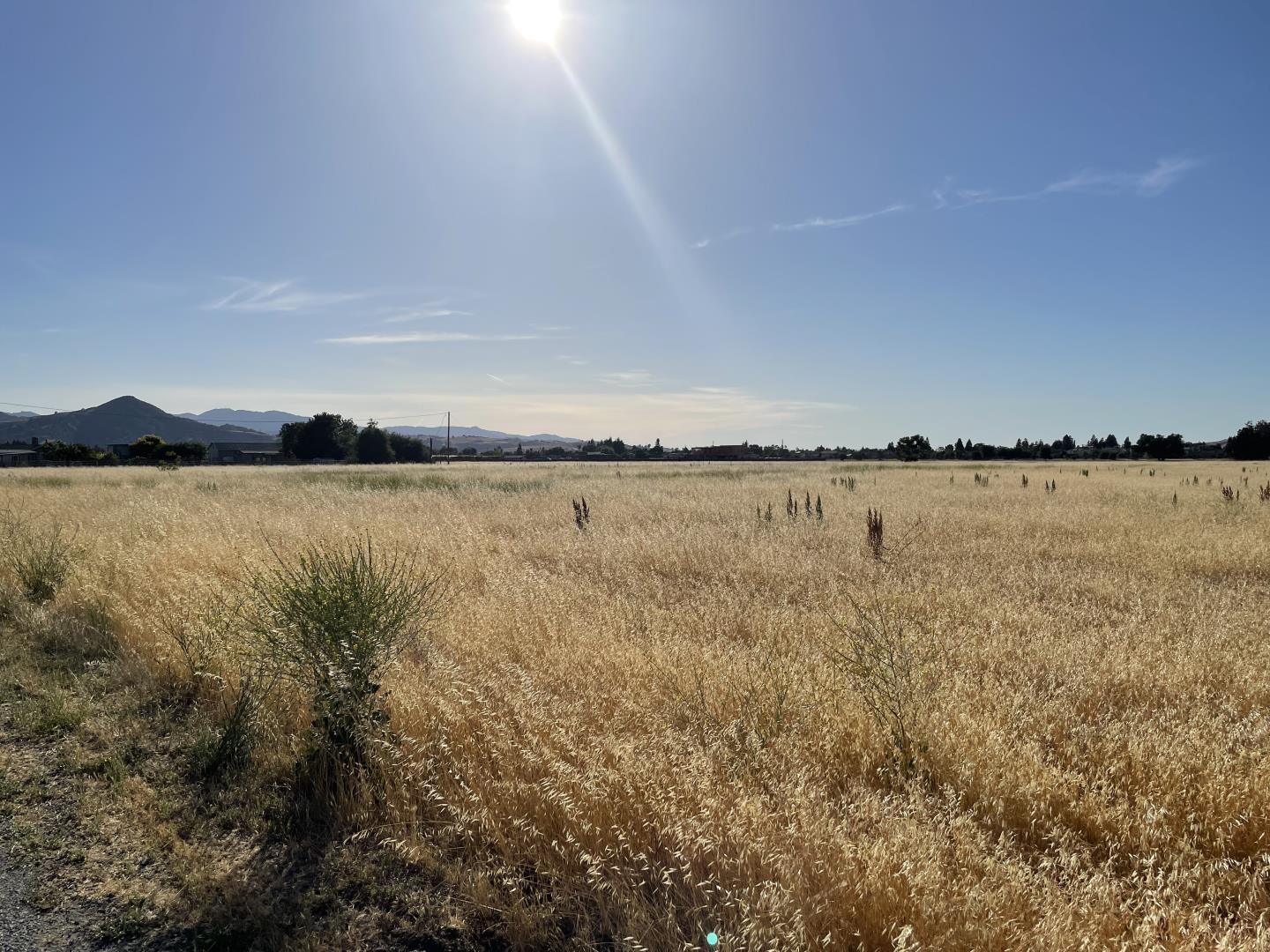00 Barrett Avenue, MORGAN HILL, California 95037, ,Lots And Land,For Sale,Barrett Avenue,40964986