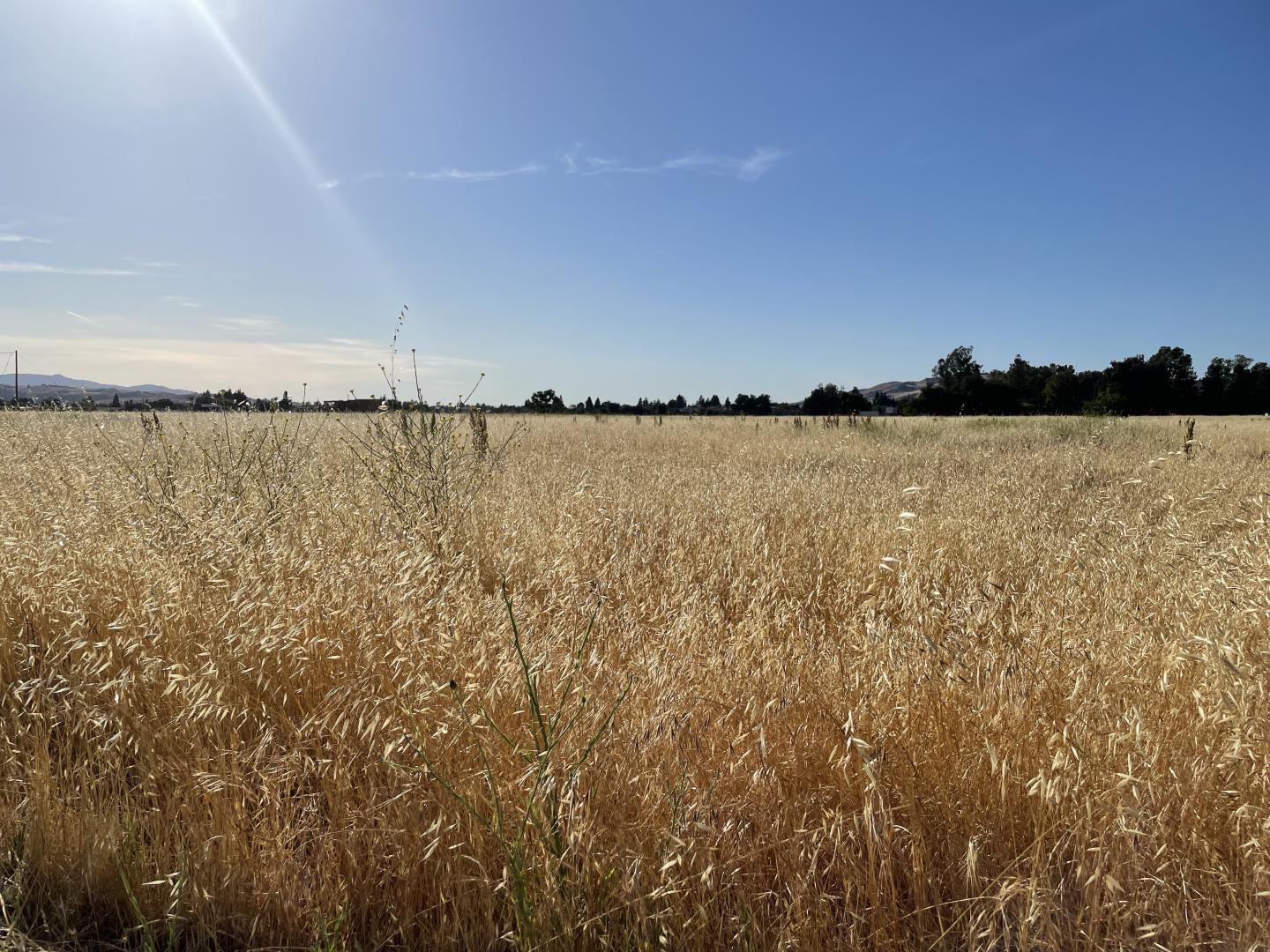 00 Barrett Avenue, MORGAN HILL, California 95037, ,Lots And Land,For Sale,Barrett Avenue,40964986