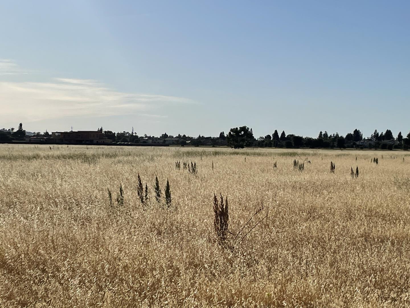 00 Barrett Avenue, MORGAN HILL, California 95037, ,Lots And Land,For Sale,Barrett Avenue,40964986