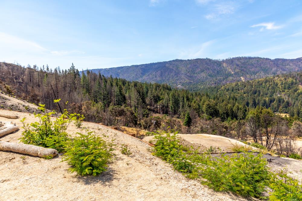 500 Hill House Road, BOULDER CREEK, California 95006, ,Lots And Land,For Sale,Hill House Road,40965127