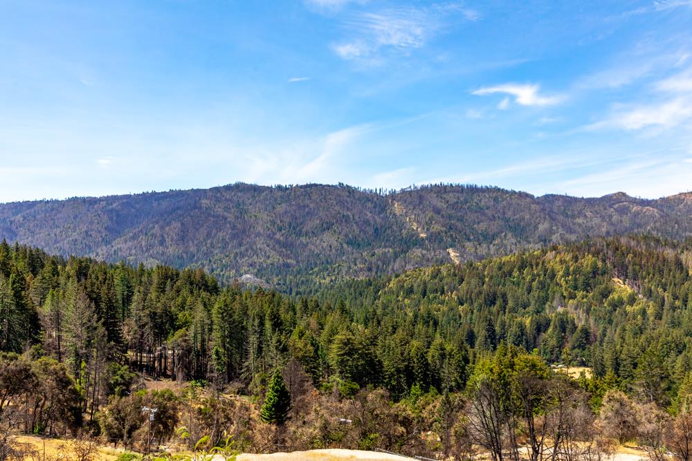 500 Hill House Road, BOULDER CREEK, California 95006, ,Lots And Land,For Sale,Hill House Road,40965127