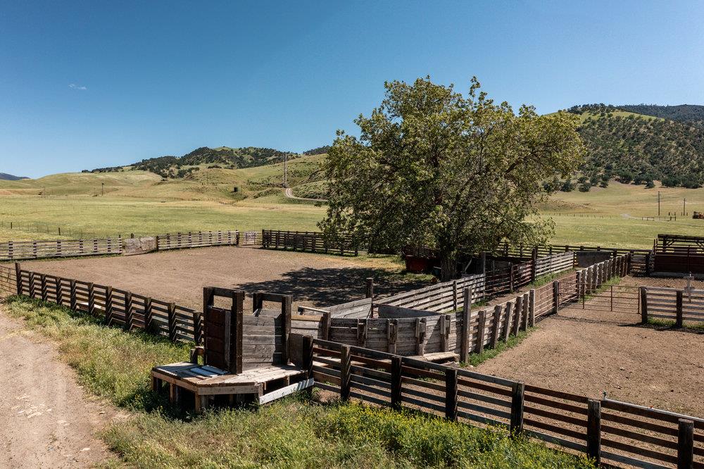 00 New Idria Road, PAICINES, California 95043, ,Lots And Land,For Sale,New Idria Road,40964988