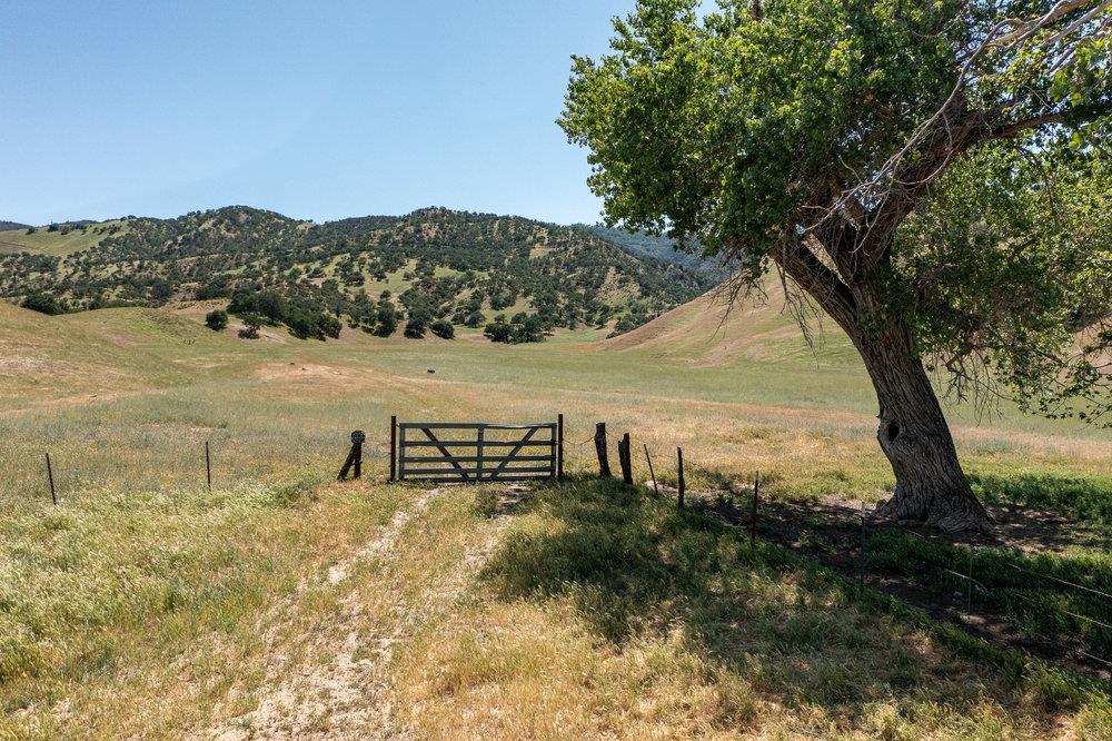 00 New Idria Road, PAICINES, California 95043, ,Lots And Land,For Sale,New Idria Road,40964988