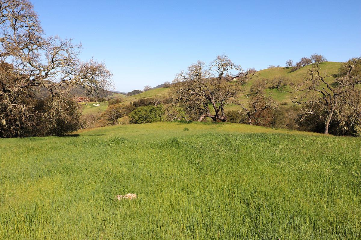23 Pronghorn Run, CARMEL, California 93923, ,Lots And Land,For Sale,Pronghorn Run,40964990