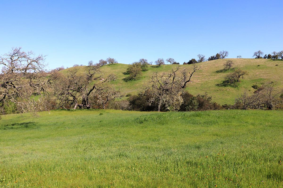 23 Pronghorn Run, CARMEL, California 93923, ,Lots And Land,For Sale,Pronghorn Run,40964990