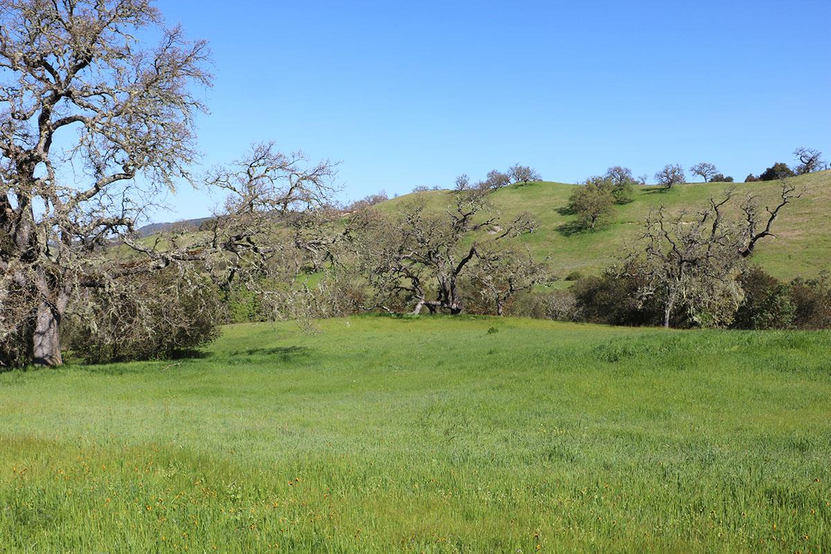 23 Pronghorn Run, CARMEL, California 93923, ,Lots And Land,For Sale,Pronghorn Run,40964990