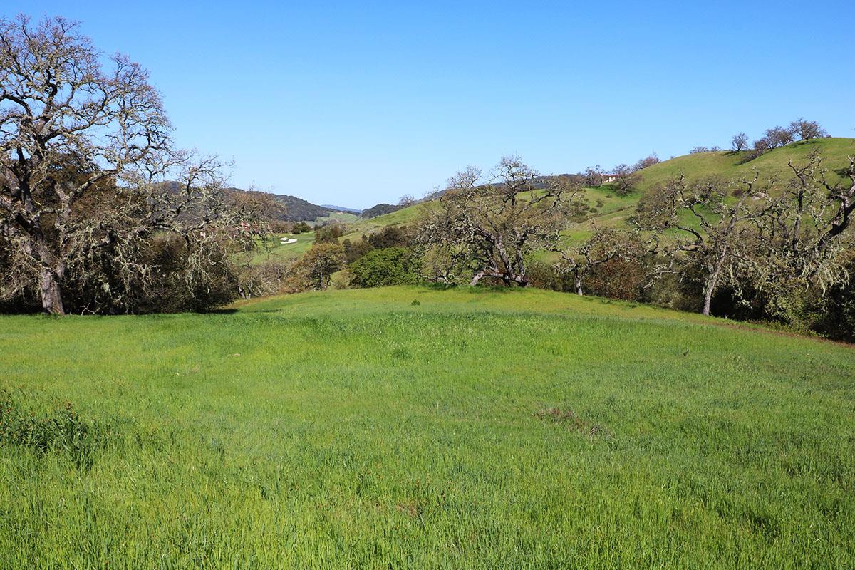 23 Pronghorn Run, CARMEL, California 93923, ,Lots And Land,For Sale,Pronghorn Run,40964990