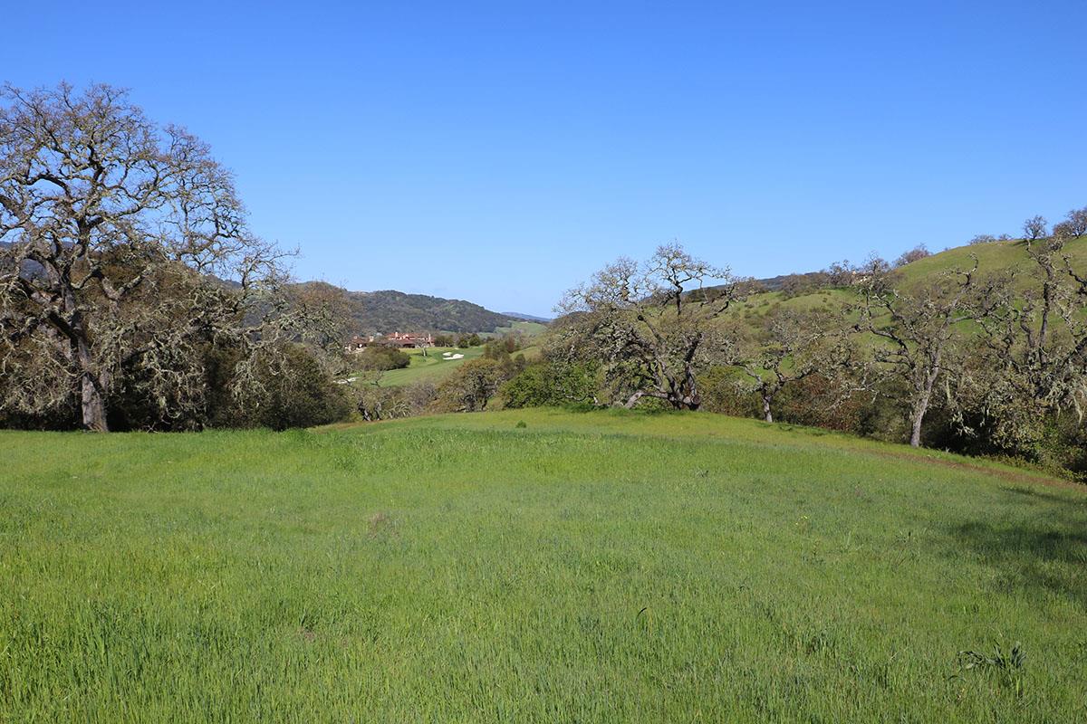 23 Pronghorn Run, CARMEL, California 93923, ,Lots And Land,For Sale,Pronghorn Run,40964990