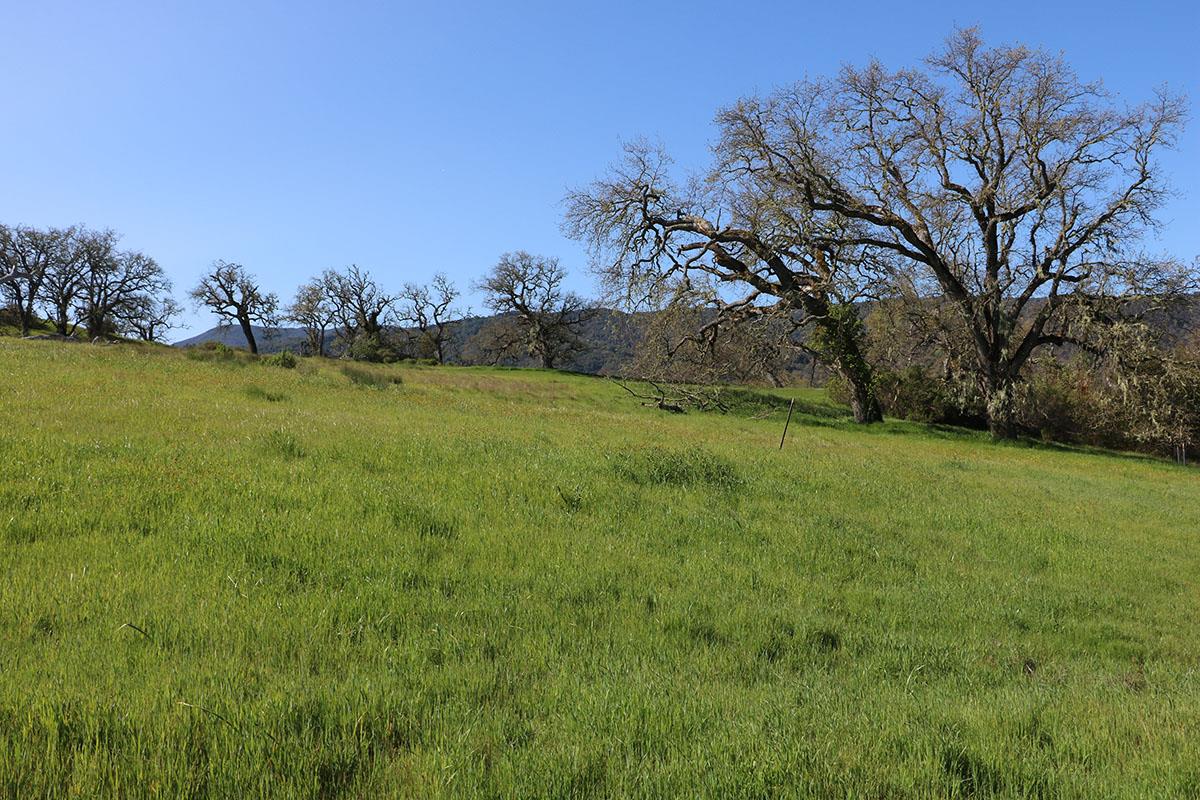 23 Pronghorn Run, CARMEL, California 93923, ,Lots And Land,For Sale,Pronghorn Run,40964990