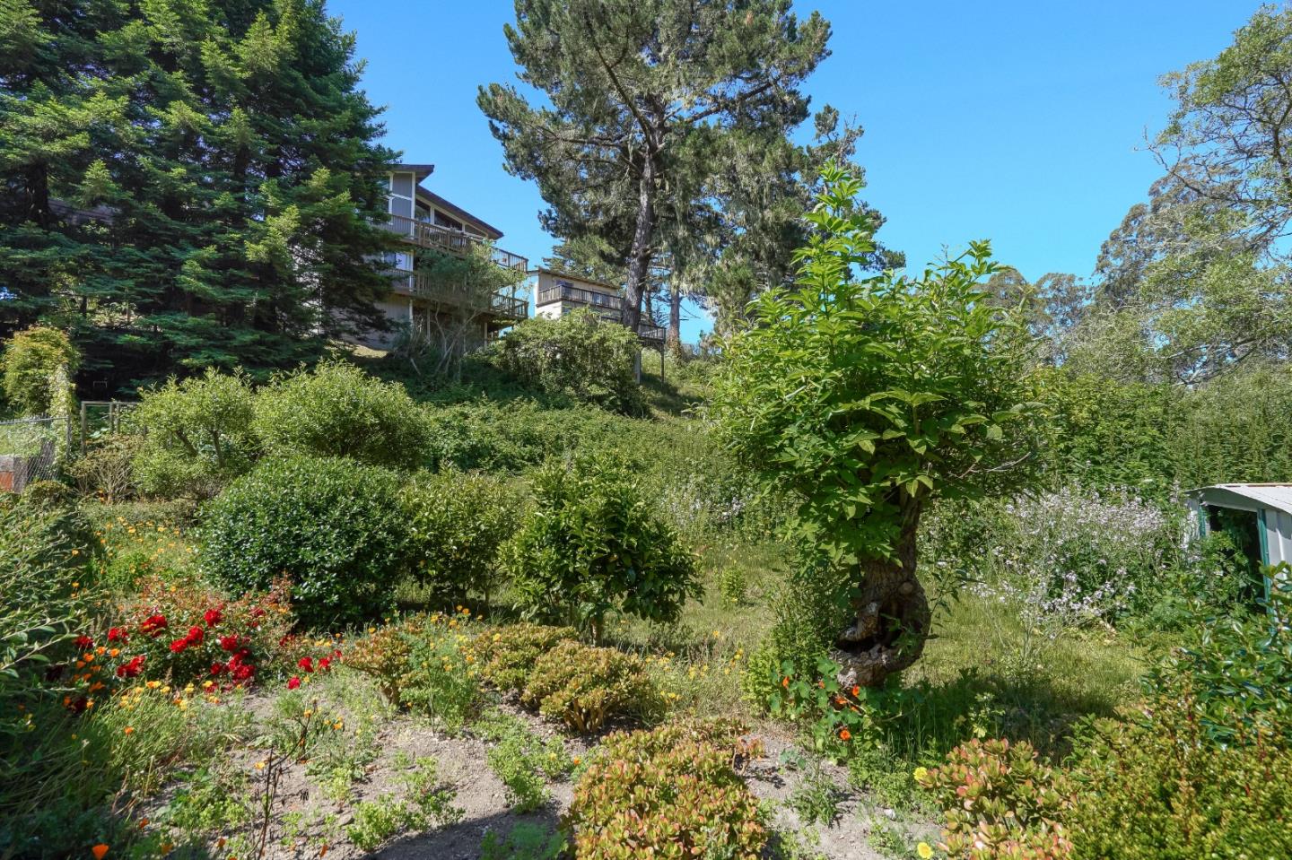 0 Sunshine Valley, MOSS BEACH, California 94038, ,Lots And Land,For Sale,Sunshine Valley,40965007