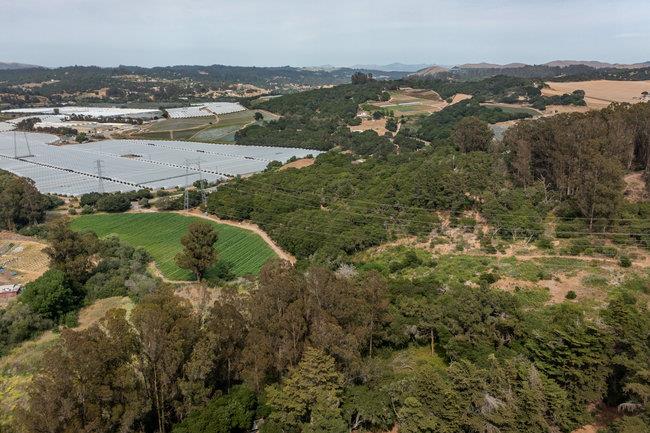 30 Maher Road, ROYAL OAKS, California 95076, ,Lots And Land,For Sale,Maher Road,40965009
