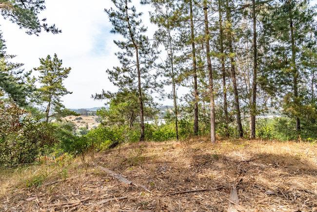 30 Maher Road, ROYAL OAKS, California 95076, ,Lots And Land,For Sale,Maher Road,40965009