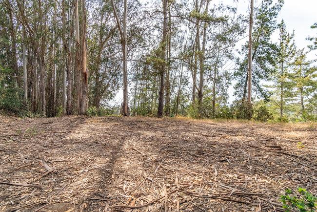 30 Maher Road, ROYAL OAKS, California 95076, ,Lots And Land,For Sale,Maher Road,40965009