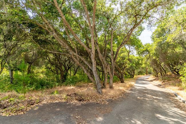 30 Maher Road, ROYAL OAKS, California 95076, ,Lots And Land,For Sale,Maher Road,40965009