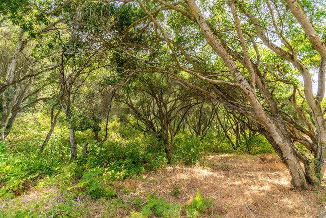 30 Maher Road, ROYAL OAKS, California 95076, ,Lots And Land,For Sale,Maher Road,40965009