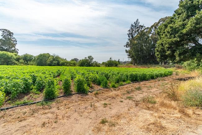 30 Maher Road, ROYAL OAKS, California 95076, ,Lots And Land,For Sale,Maher Road,40965009