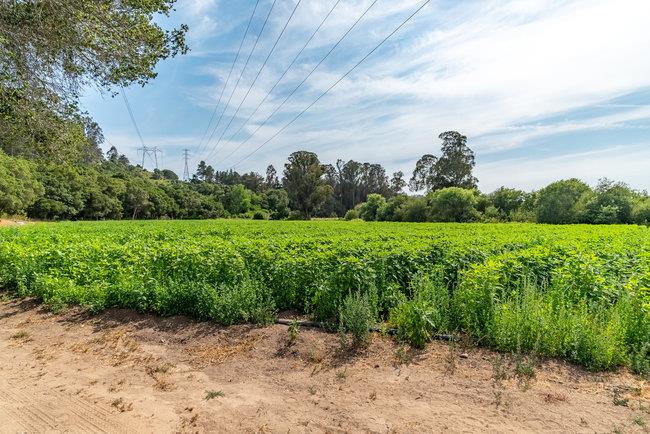 30 Maher Road, ROYAL OAKS, California 95076, ,Lots And Land,For Sale,Maher Road,40965009
