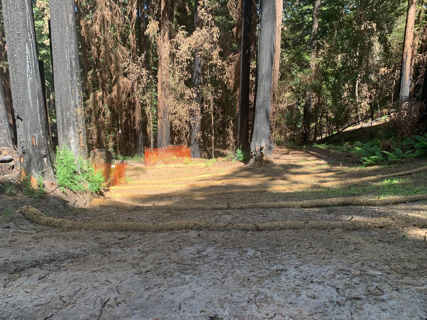 570 Willow Avenue, BOULDER CREEK, California 95006, ,Lots And Land,For Sale,Willow Avenue,40965036